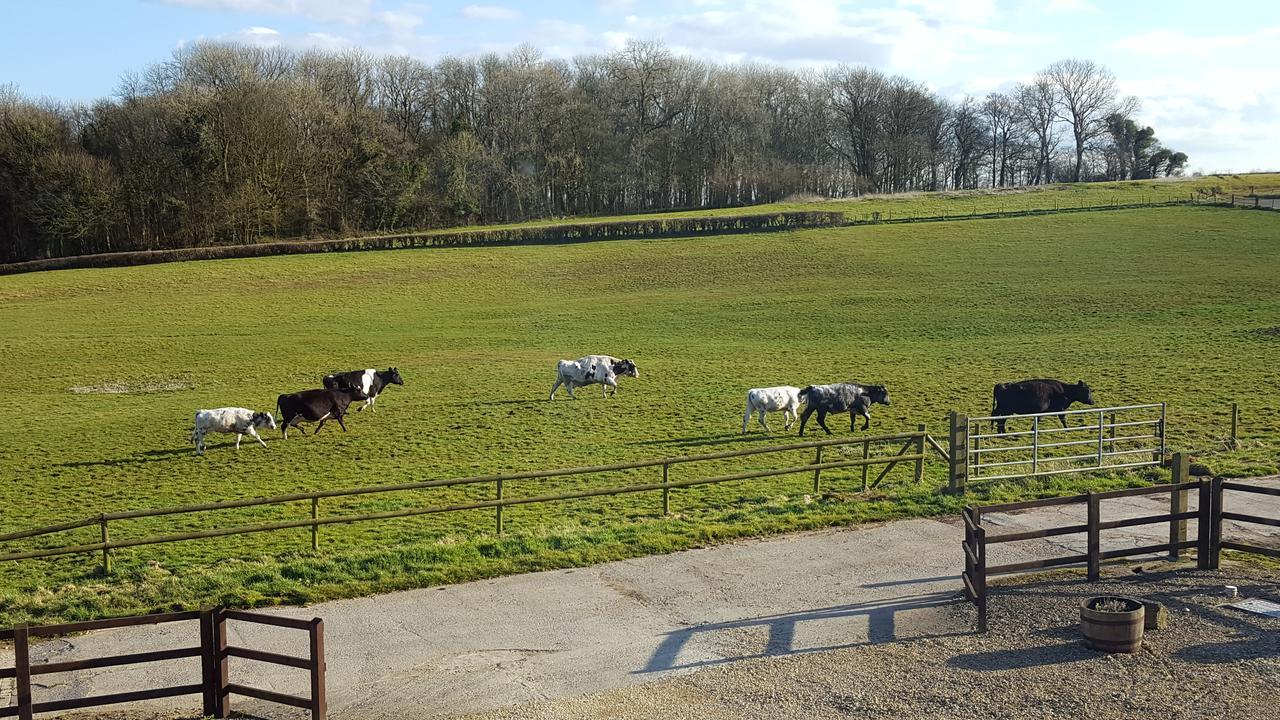 Bed & Breakfast The Old Stables Shepton Mallet